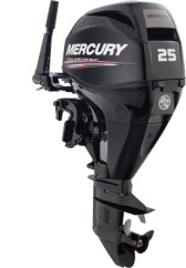 Mercury F25 