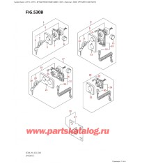 530B - Опции: переключатели (See Note)