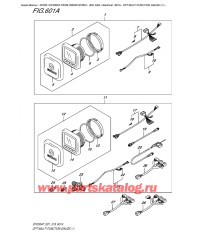 601A - Опции: multi Function Gauge (1)