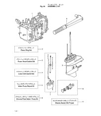 Assemblu, Kit