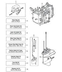 Assemblu, Kit