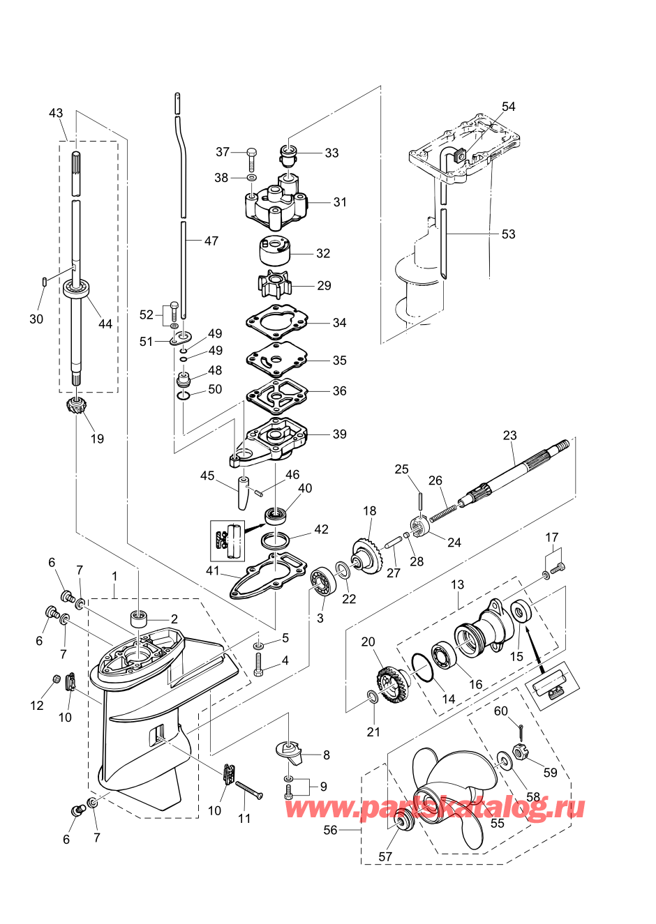 Tohatsu M6B (002-21030-0AK) / Fig.08 Картер коробки передач 