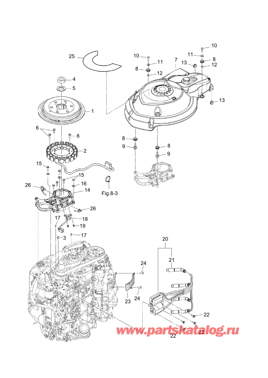 Tohatsu MFS100A (002-21059-0BX) / Fig.06 Магнето 