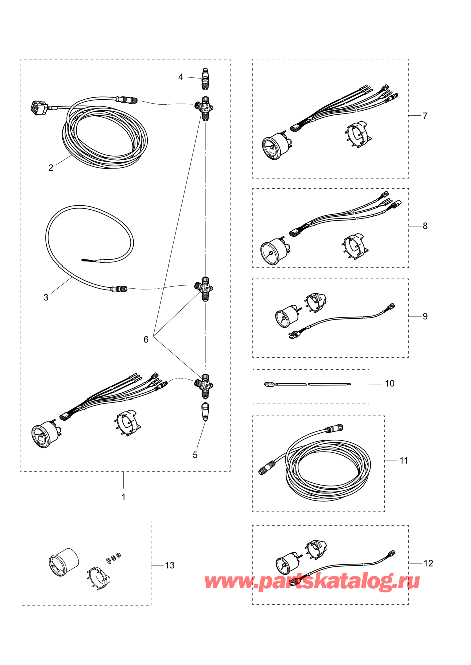 Tohatsu MFS100A (002-21059-1BA) / Fig.21 Дополнительные опции (1) 