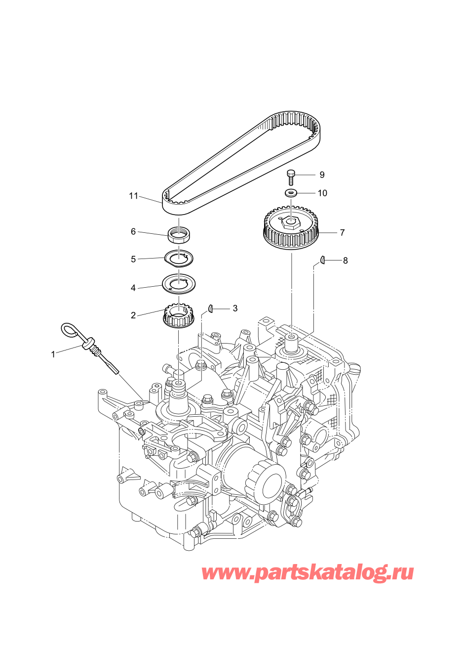 Tohatsu MFS20-D (002-21054-0AG) / Fig.04 Шкив / Ремень распредвала 