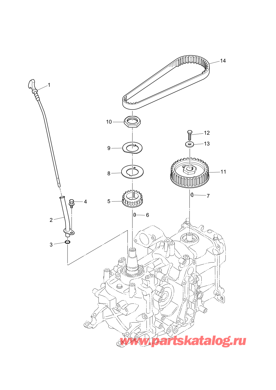 Tohatsu MFS20-E (002-21057-0AG) / Fig.04 Шкив / Ремень распредвала 